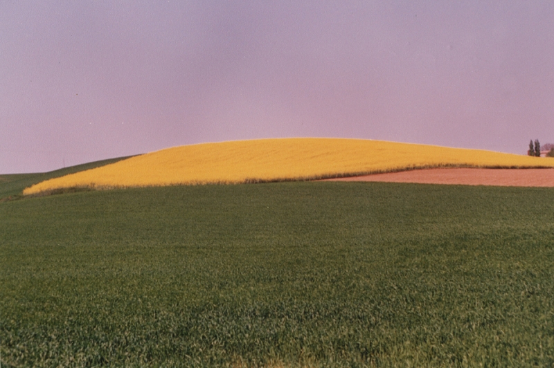 La campagne portoise au mois de juin