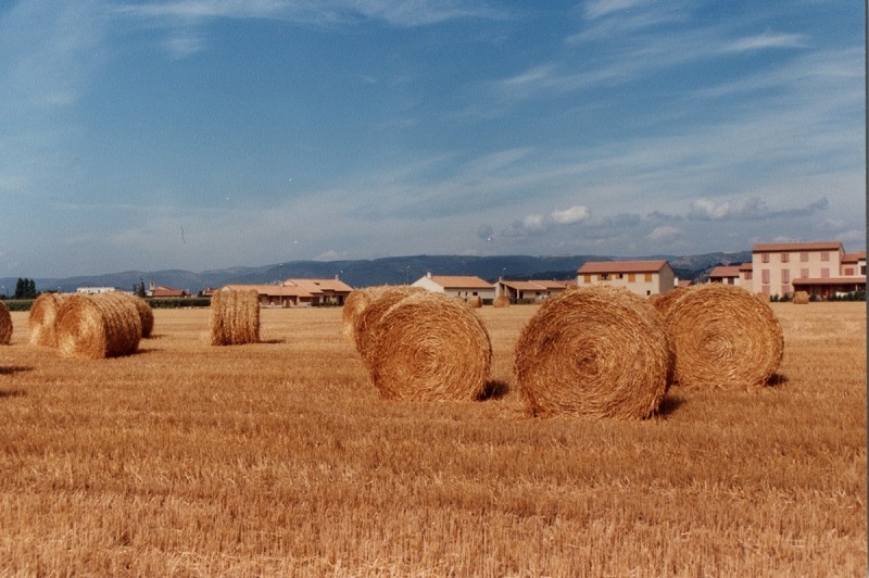 Vue des résidences d'Italie derrière les champs de blé