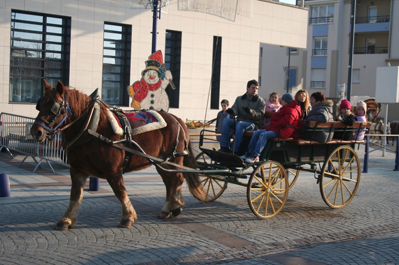 Fête de Noël : tour de calèche