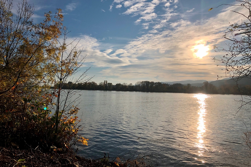 Les berges du Rhône