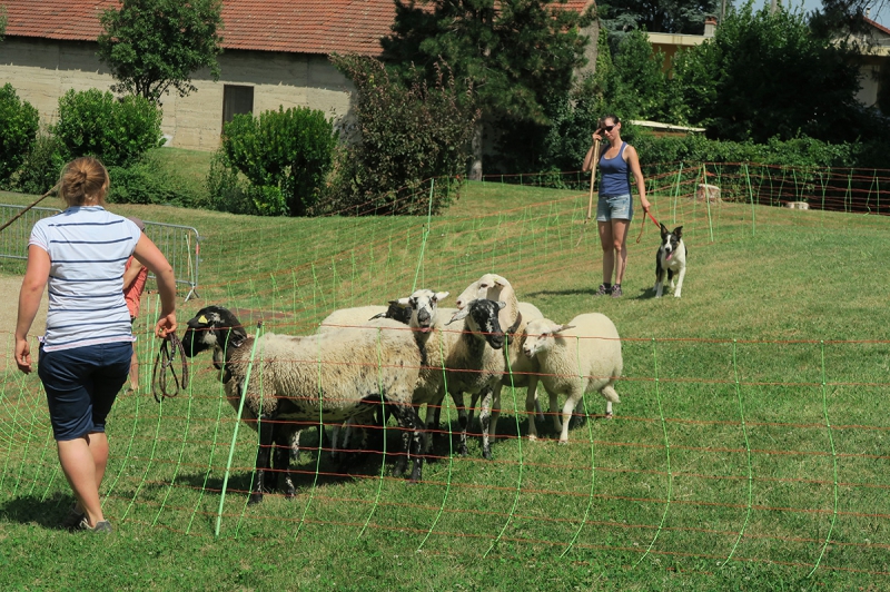 Fête champêtre