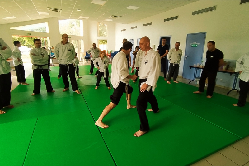 Stage de rentrée du viet vu dao