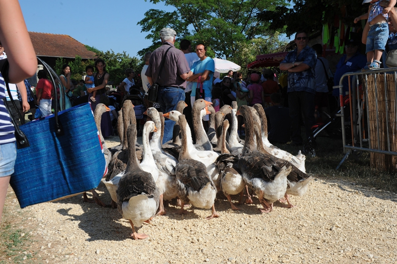 Fête champêtre