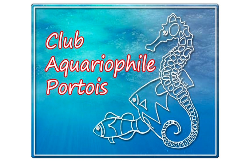 Club aquariophile portois