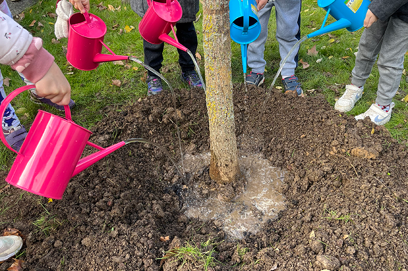 Un arbre pour chaque classe