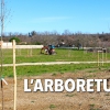 L’arboretum avance !