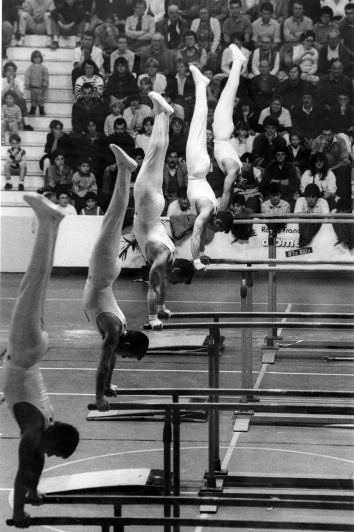 Gymnastes