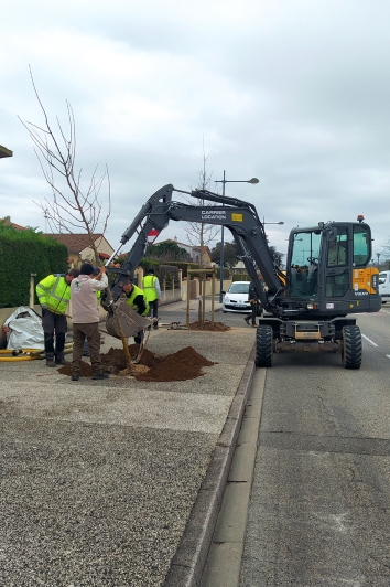 Plantations rue Pasteur