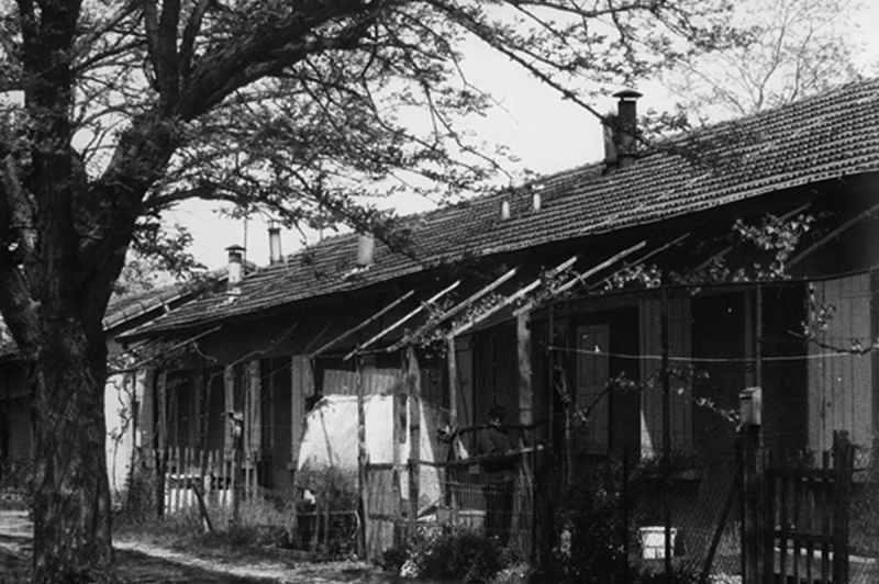 Les chalets en bois