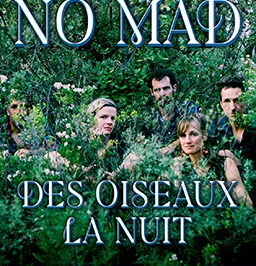 Concert : Des oiseaux la nuit