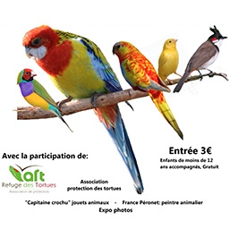 Exposition ornithologique