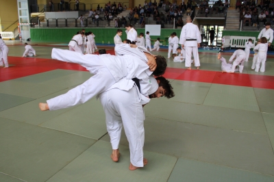 Les valeurs du judo