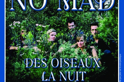 Concert : Des oiseaux la nuit